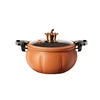 Multifunctional Plumpy Non-stick Pressure Cooker with Medical Benefits Panelas Eletrica Frete Gratis 5