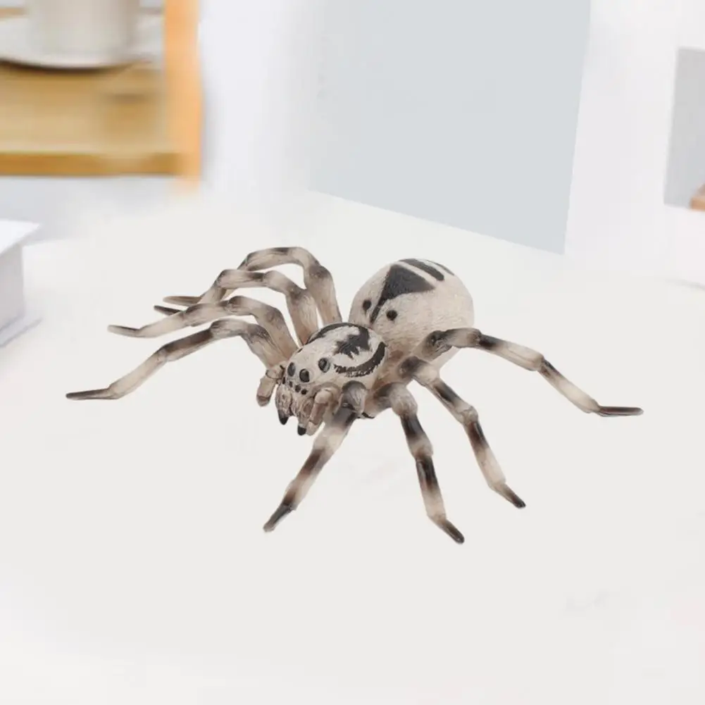 

Spider Figurine Decoration Realistic Pvc Spider Figurine Ornament for Halloween Home Decoration Science Education Learning Toy