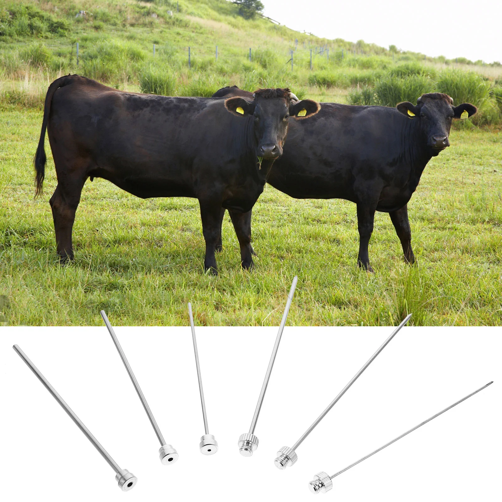 

Deflation Needle Bleed Exhaust Piercing Needles Stainless Steel Veterinary Equipment