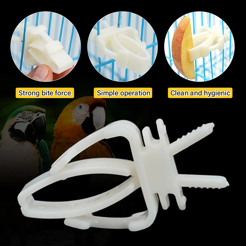 Parrot Feeder Stainless Steel Parrot Fruit Vegetable Feeding Clip Small Animals