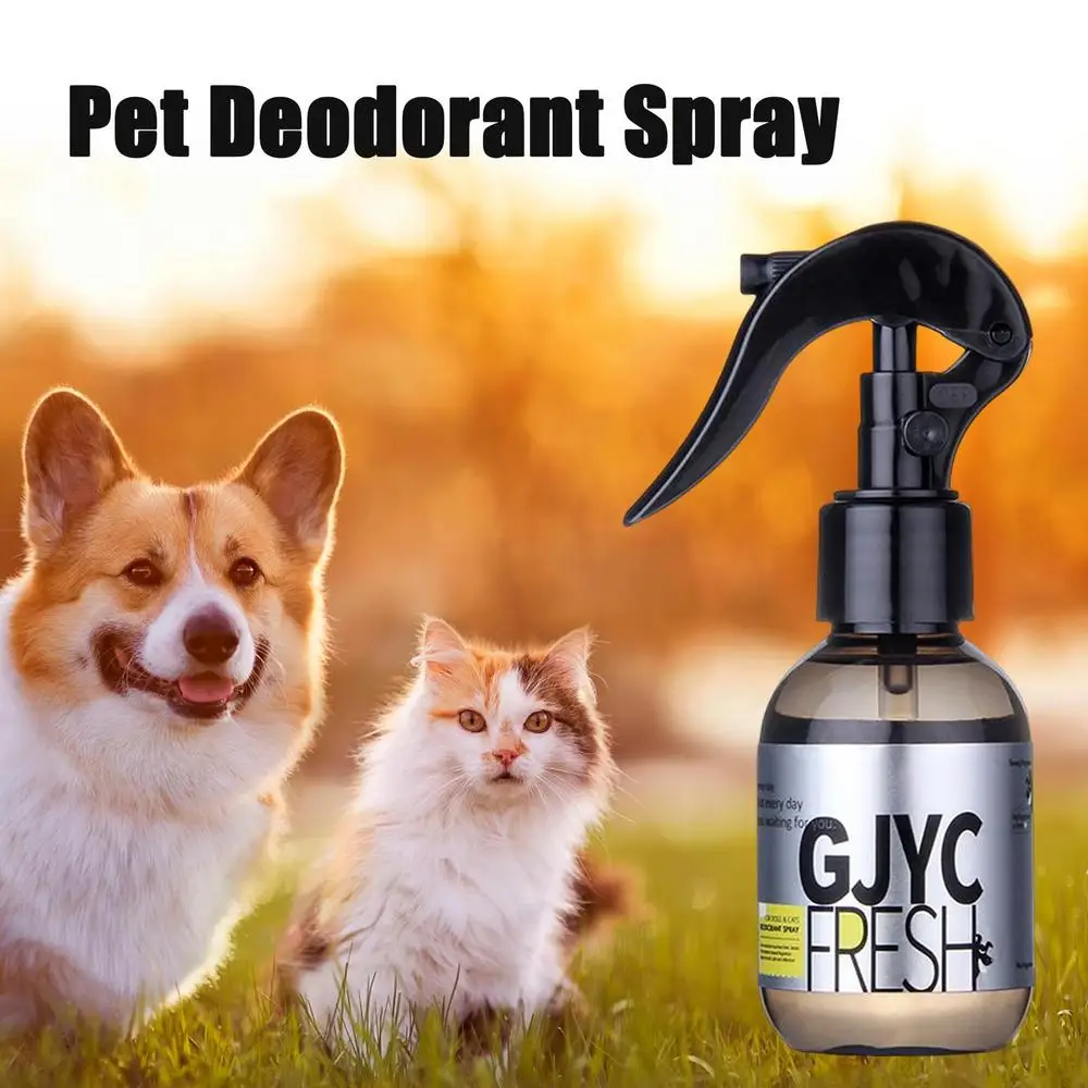 100ml Sicherheits schloss Hund Deodorant langlebige Hunde Katzen Körper  Parfüm Spray natürlichen frischen Duft Deodorant Parfüm Haustier liefert