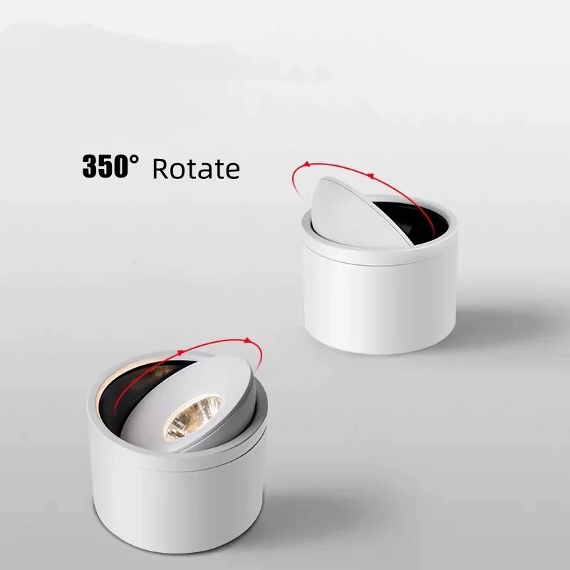 Modern Black LED Ceiling Light with Dimmable Rotatable Spot Light