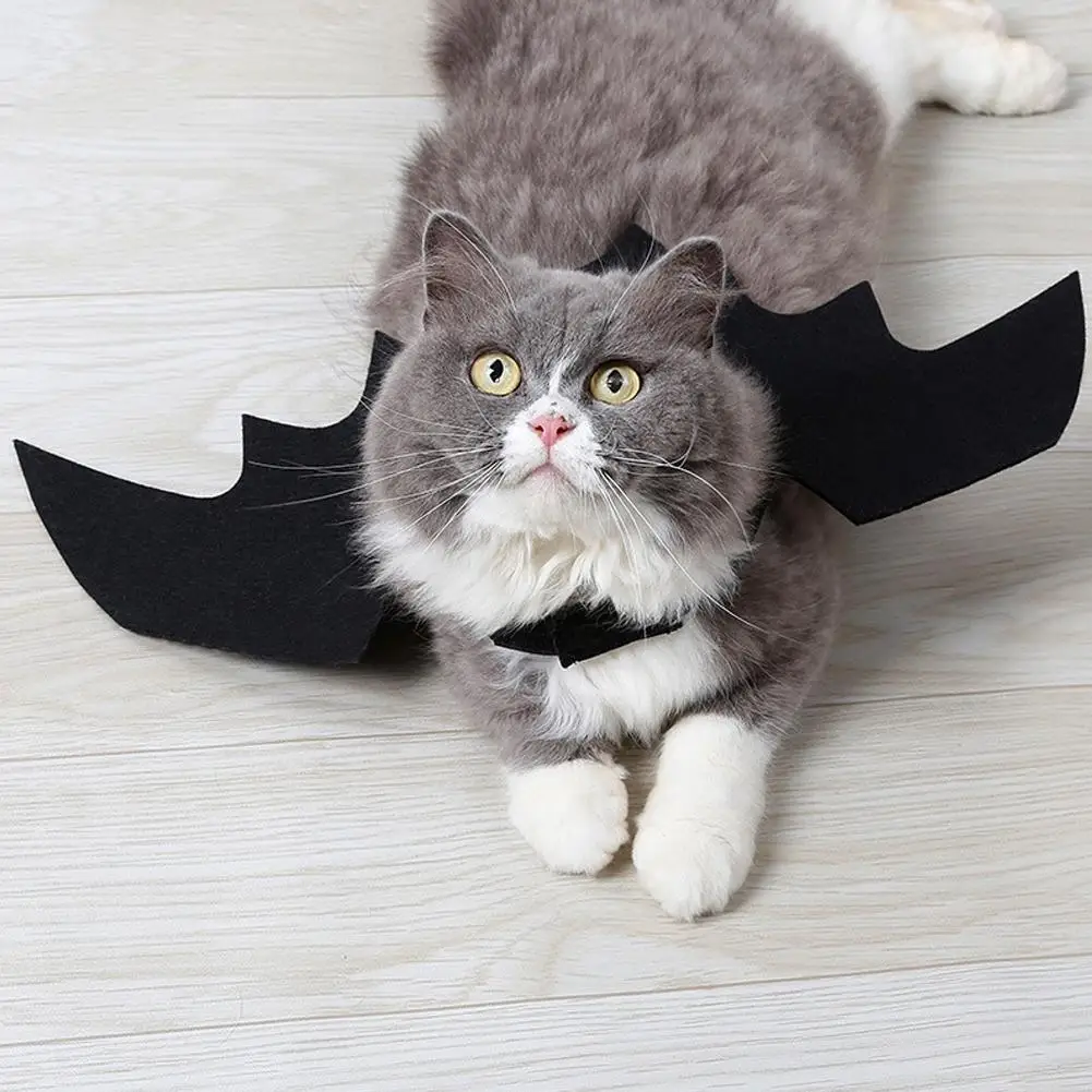 Halloween Products Dress Up Accessories Pet Bat Wings Cool Dog Cat Black Bat Costume