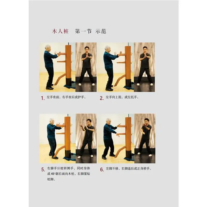 Рисунок 5 - Книга китайского кунг-фу