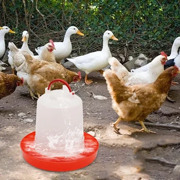 1.5/2.5/4L Chicken Water Dispenser Automatic Chick Drinker Bucket Drinking Farm Tools Quail Drinker Bird Waterer Poultry Feeding 6