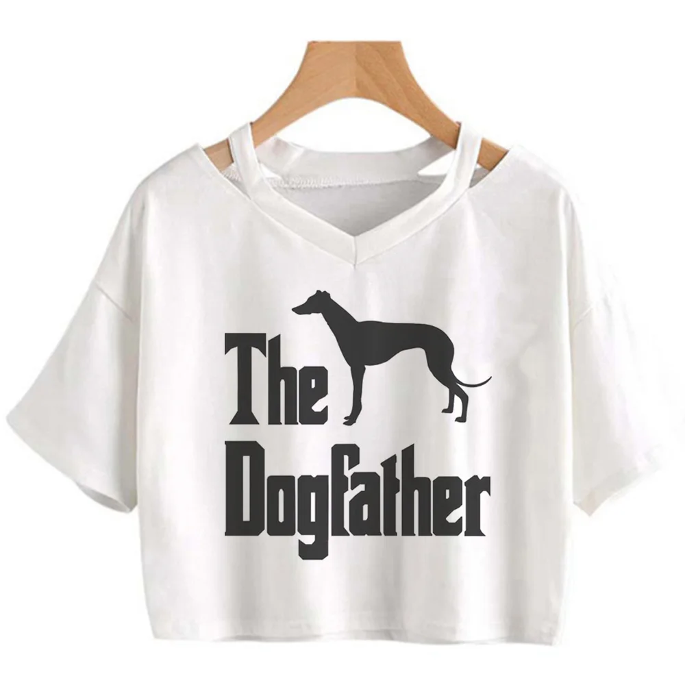 

Greyhound