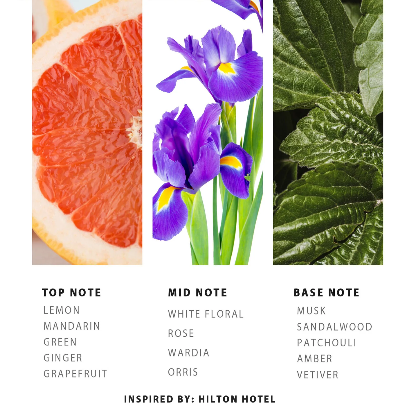 Yander Hilton Hotel Fragrance Collection Diffuser Oil 5 Star Hotel Scent Cold Air Diffuser Aromatherapy Essential Oil HVAC Aroma