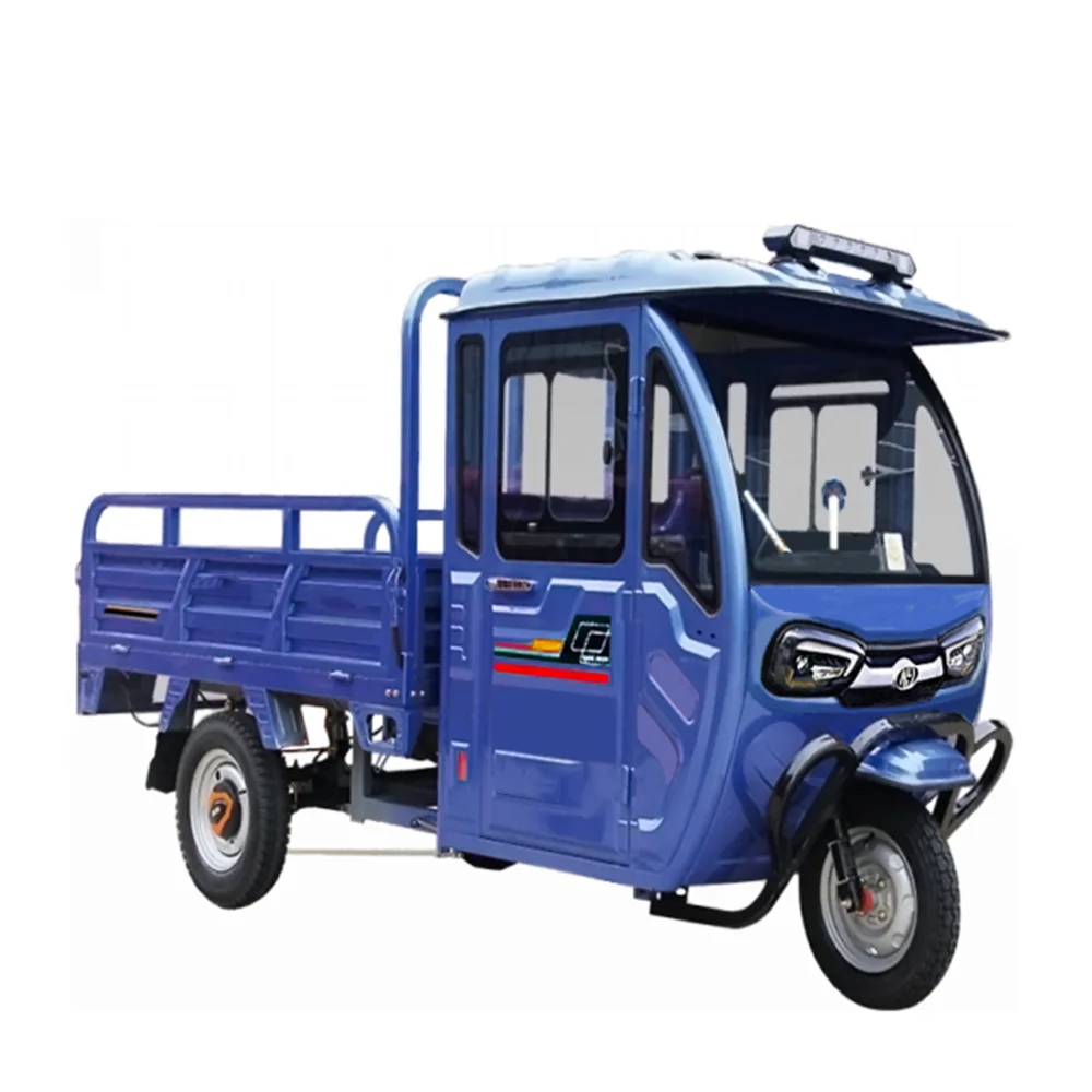 

Popular Style Manufacturers E-Trikes 3 Wheel Cargo Electric Tricycles Motorcycle Three Wheel for Adult