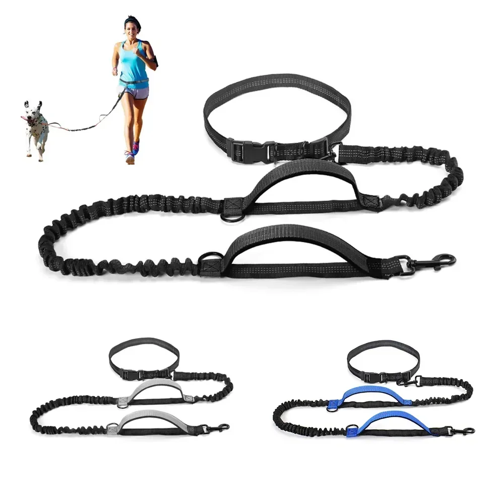 

Large Supplies Reflective Pet Retractable Dog Qulity Bungee Leash High For Running Free Dual Hands Dogs Handle