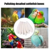 1-5PCS Cuttlefish Bone Natural Cuttlebone Parrot Chew Toys Parrot Calcium Supplements for Bird Cockatiel Parakeet Parrot 3