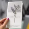 Dried Flower Greeting Cards Mother'S Day Cards Valentine'S Day Cards Birthday Cards Blessing Cards Wedding Cards Moving Gifts 2