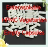 0# 1000PCS Vegetarian Enteric Coated HPMC Empty Capsule,Enterosoluble Empty Vegetable Capsule Case, Medical Packing Powder, 4