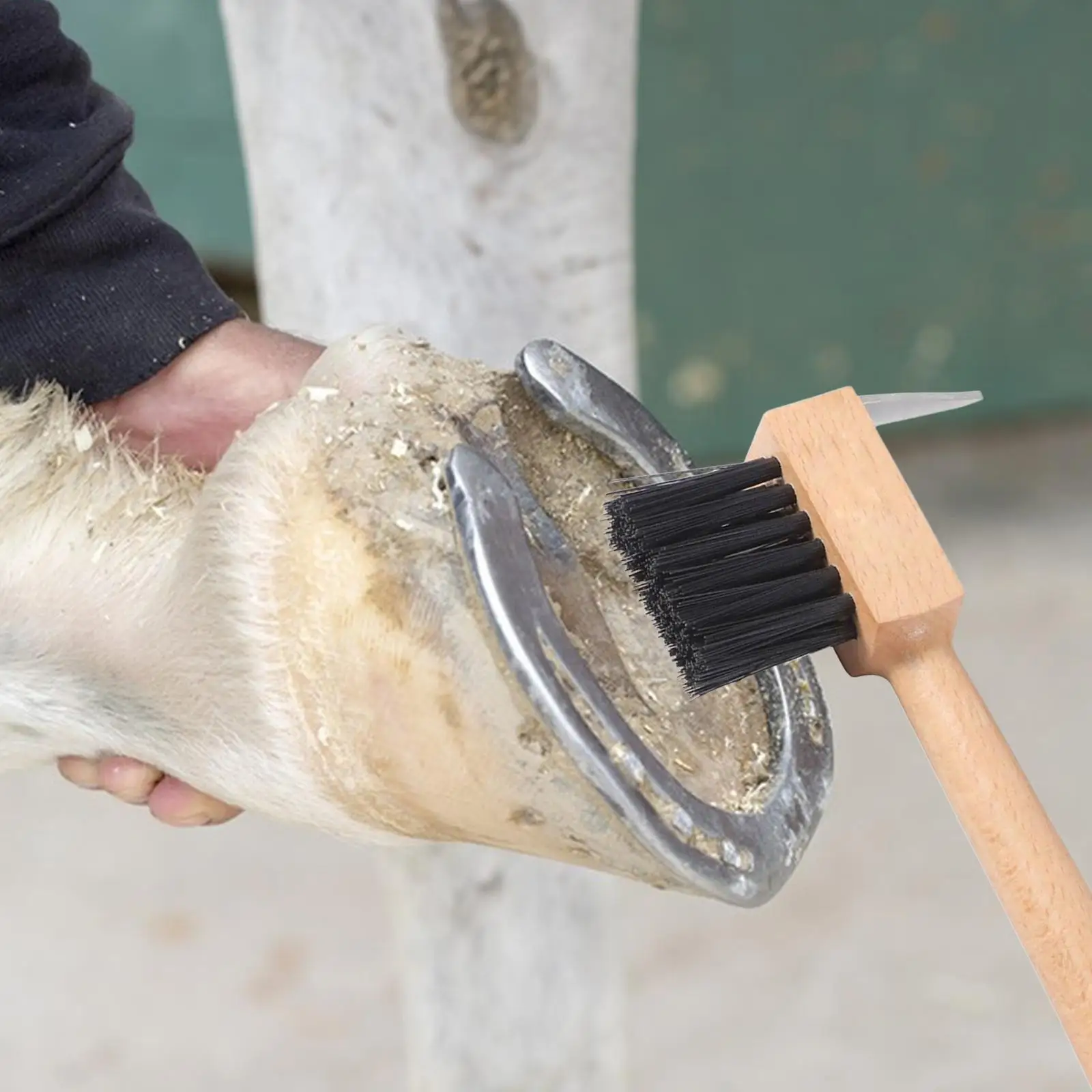 Pics à Cheval Portable Avec Brosse - Poignée Caoutchouc - Cure-pieds Pour Soins équins