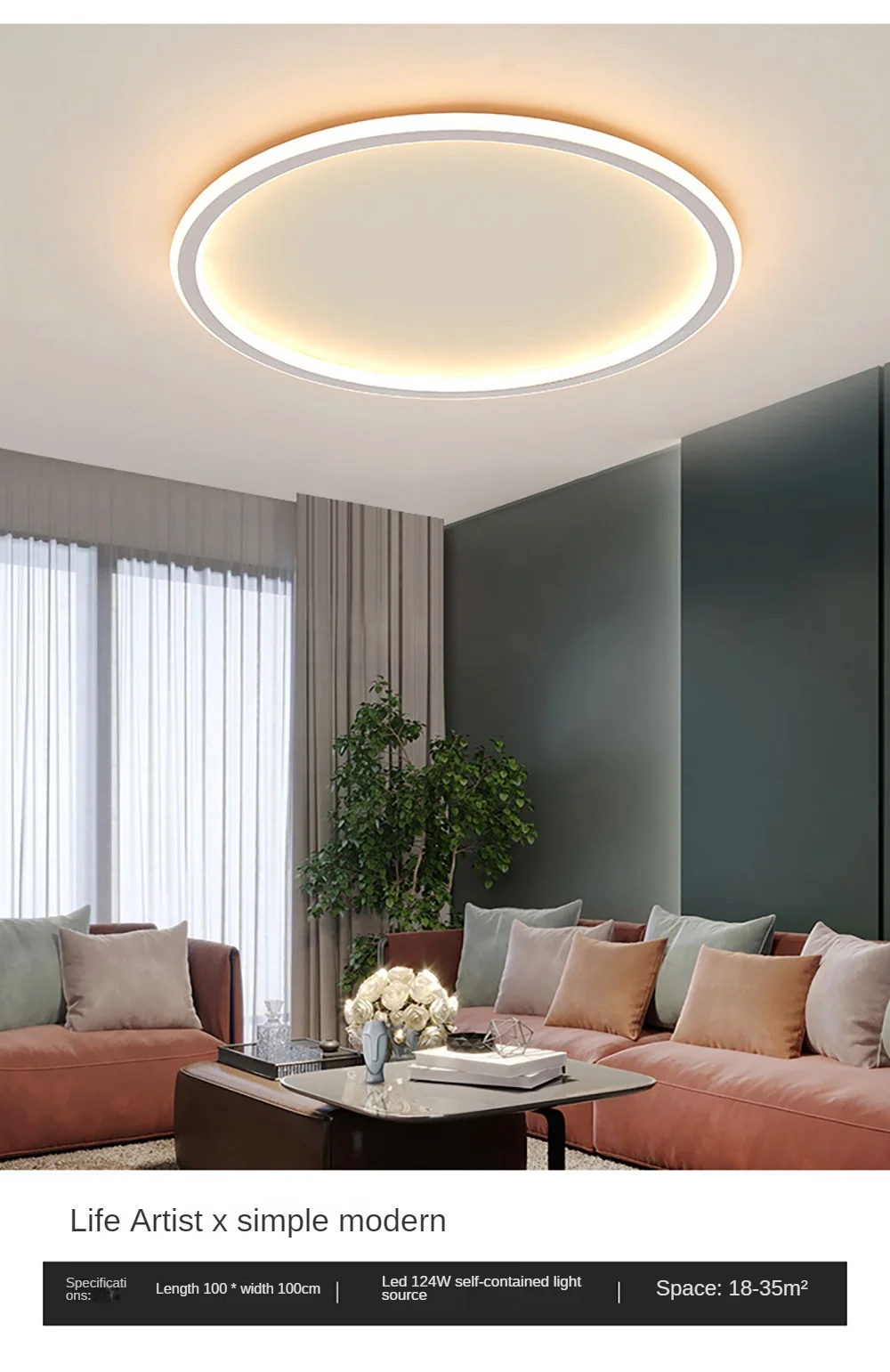 Nordic Minimalist LED Ceiling Light For Bedroom Living Room Sa3c604a5ff6d4a93bbe3b1b64fbc14fcS