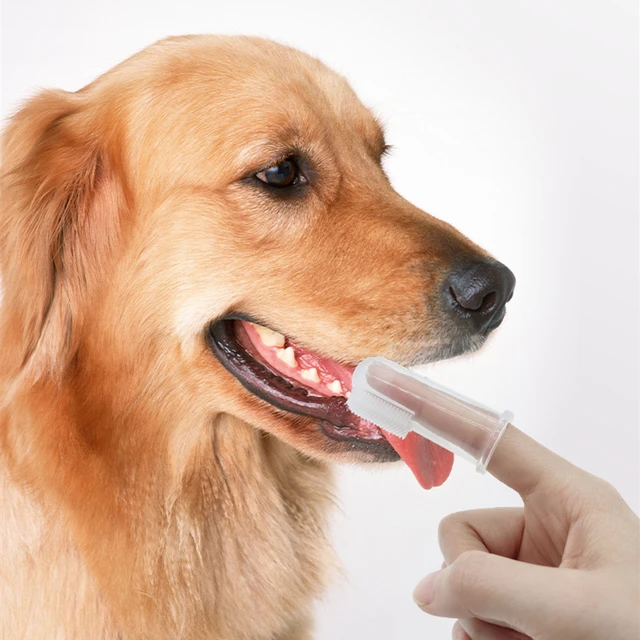 Soft Pet Finger Toothbrush 5