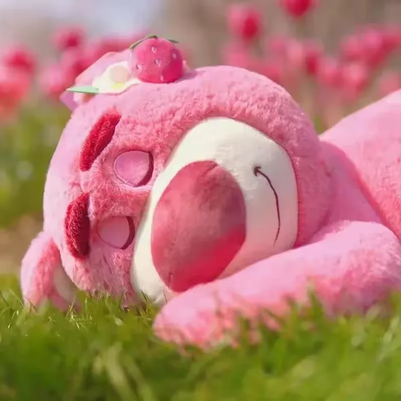 💖 دمية لوتسو الدب العناق القطيفة🧸