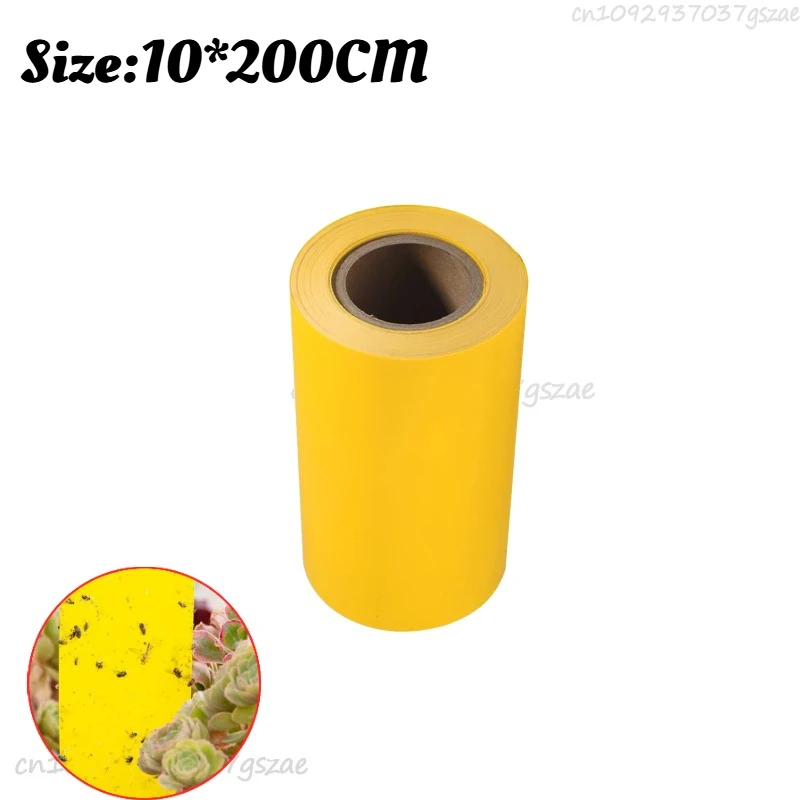 1Roll (2M)