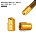 Gold 2pcs