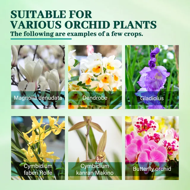 Orchideák Növényi Koncentrált Tápanyag -Oldat Növekedés Fokozó Táplálkozás Kiegészítő Gyökérzetű Folyadék - Image 6