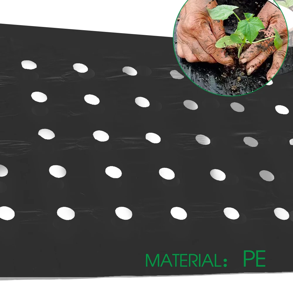 JOSUR Pellicola for pacciamatura Nera a 5 Fori, for Giardinaggio Piante