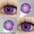 AYY-Purple