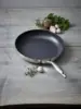 10.25 Inch Fry Pan 4