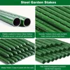Plant Stakes Gardening Pillar Plastic Coated Steel Pipe 40cm/60cm Length Supporting Climbing Flowers Fruits Vegetables Support 4