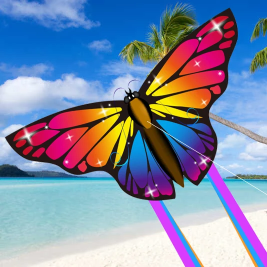 Rainbow Butterfly Kite Colorful Outdoor Flight Adventure