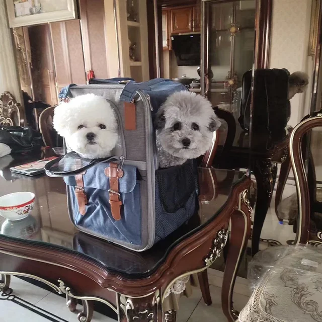 dog accessories Dog bed Backpack for dog Chihuahua French Bulldog Poodle ventilate Small dog carrying backpack Cat backpack 2
