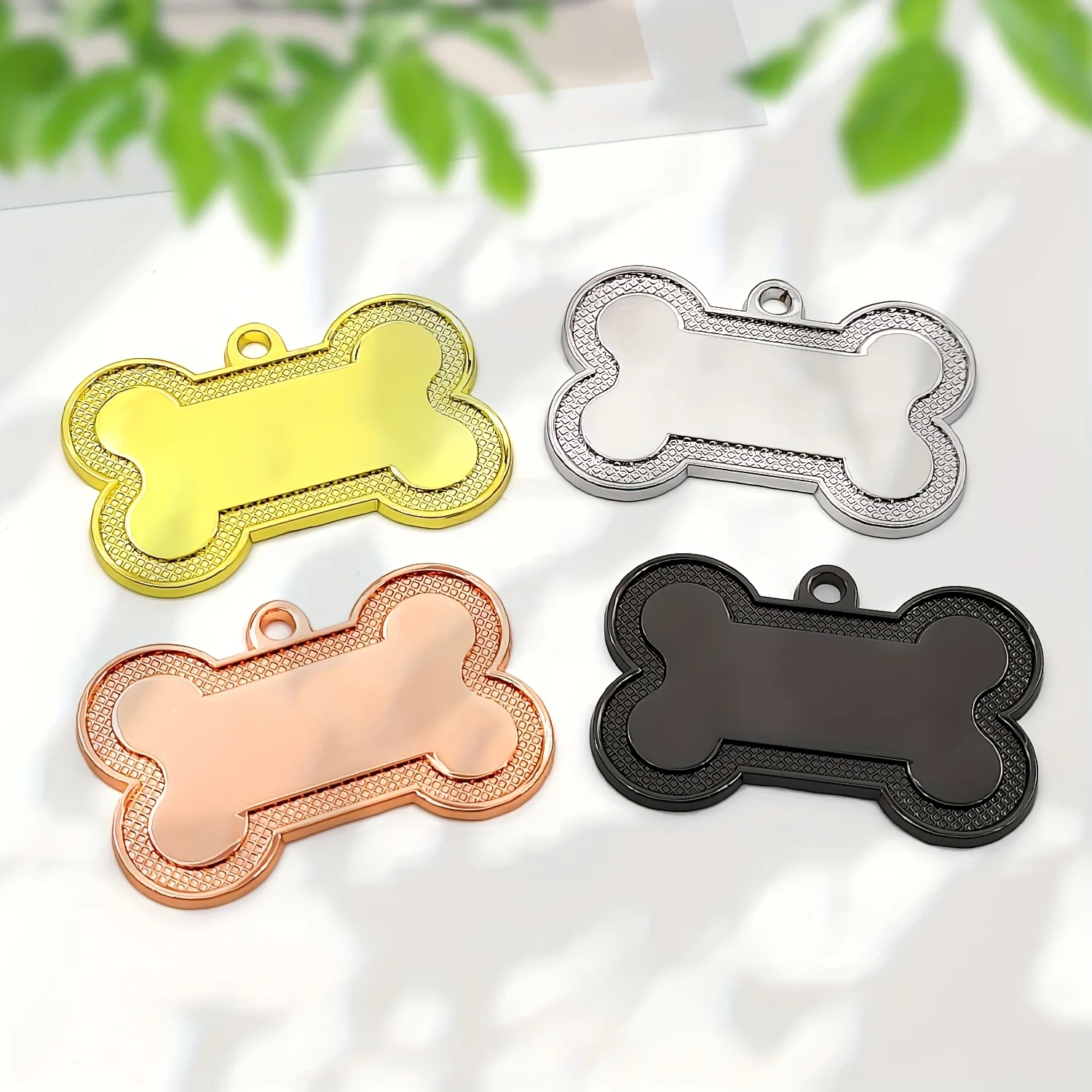 dsc-products
