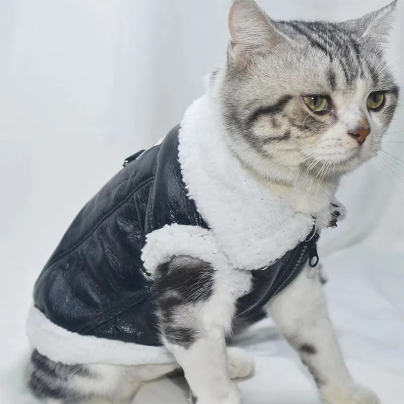 애완 고양이 강아지 가을 겨울 두꺼운 조끼 벨벳 가죽 민소매 고양이 코트 부드럽고 따뜻한 코트 테디 베어 슈나우저 강아지 따뜻한 옷