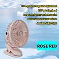 Pink fan