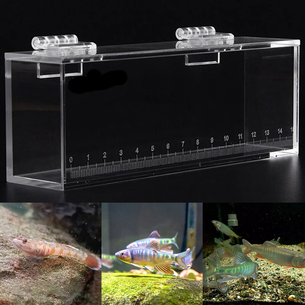 Fish Viewing Box Acrylic Material Isolation Box Betta Fish Aquarium Breeder Tank Hatching Incubator House Home Clear fish breeding box