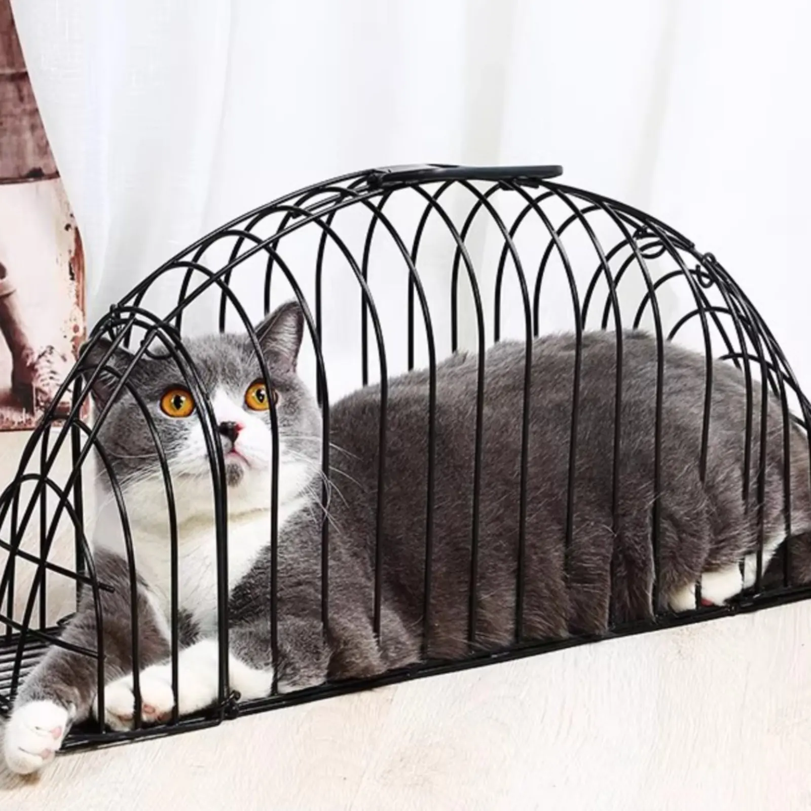 고양이 목욕 욕조 다기능 고양이 세척 울타리 애완동물 고정용 이중 도어 디자인..