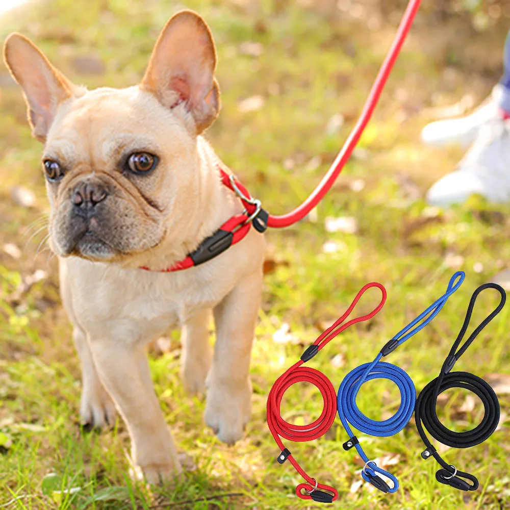 Slip Lead Dog Leash Collar For Puppy Pet Small Dogs Training Walking dog leash,dog collar,pet collar