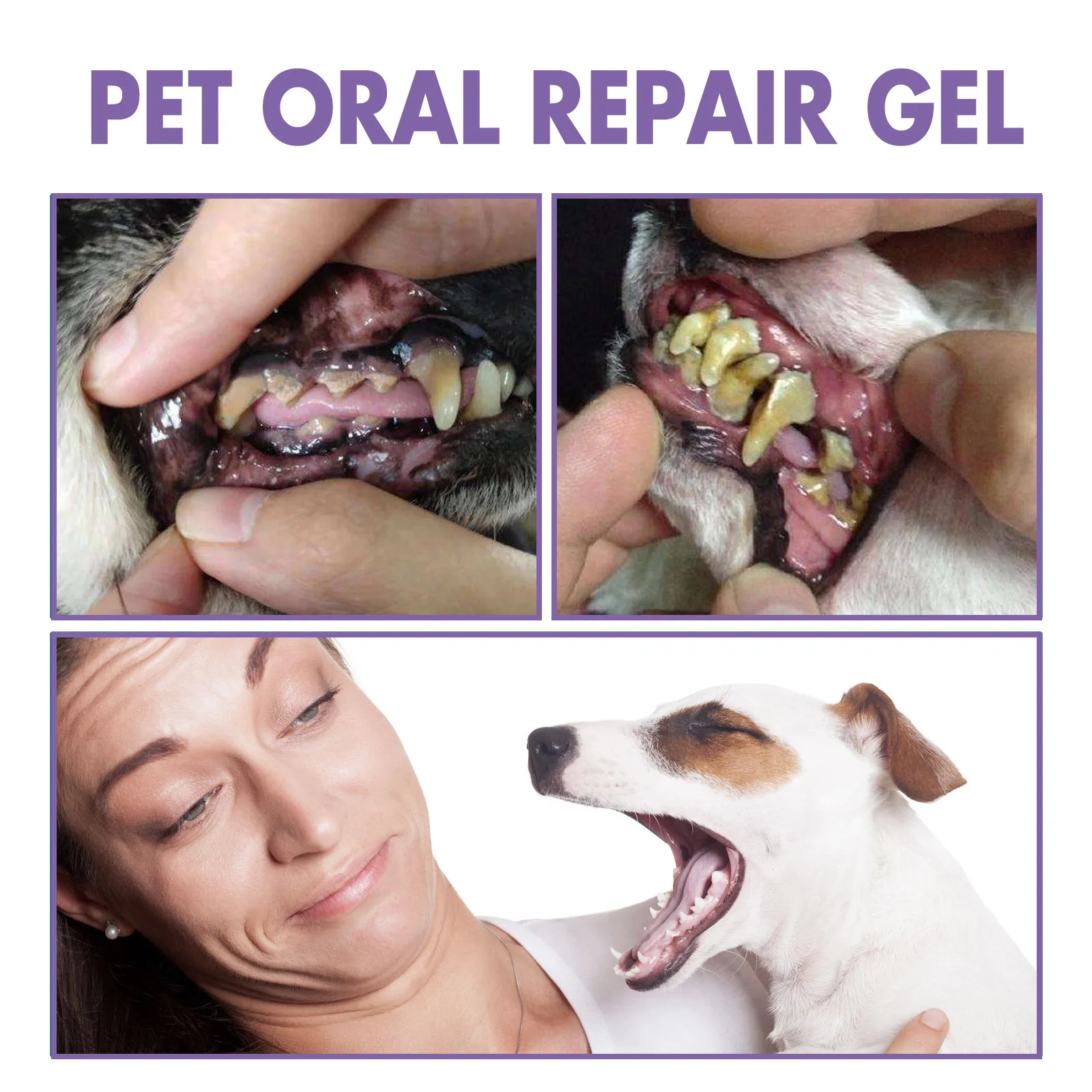 Dog Oral Cleaning Gel Tooth Stain Cleaner - Image 4