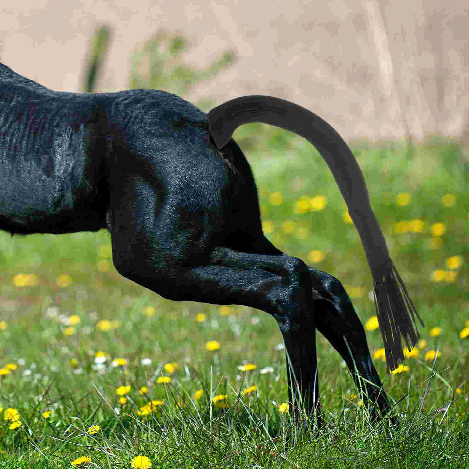 Рисунок 4 - Сумка для хвоста крупного рогатого скота