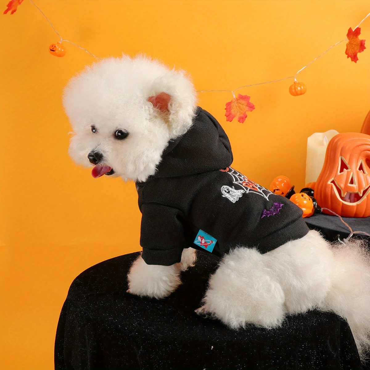 Spider Web Halloween Pet Sweater – Hooded Jacket for Dogs & Cats 4