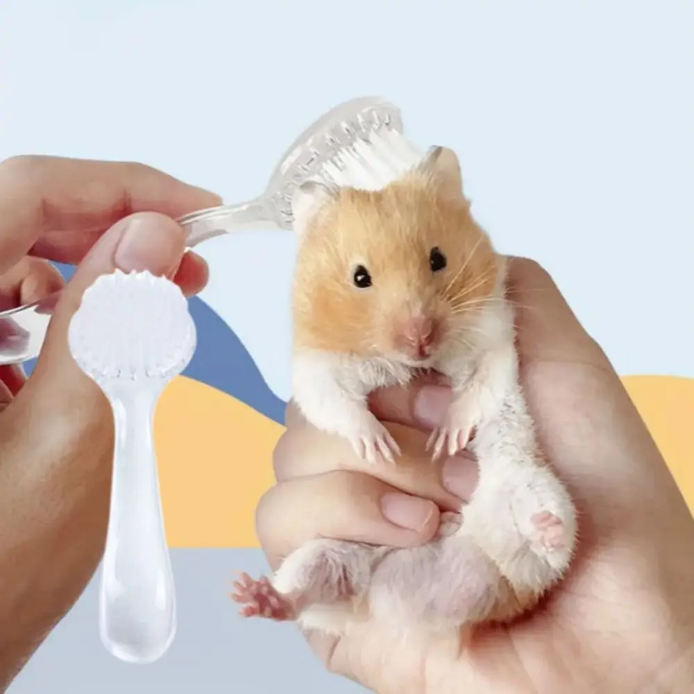 Long Hair Small Hamster Brush Round Head Soft Golden Bear Cleaning Comb Bath Mini Brush Hamster Cleaning