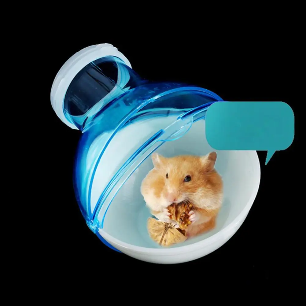 hoofdpijn Ga naar beneden Petulance Qute Gerbil Hamster Cage | House Hamster Tube | Cage Hamster Tube | Types  Cages Hamster - Cages - Aliexpress