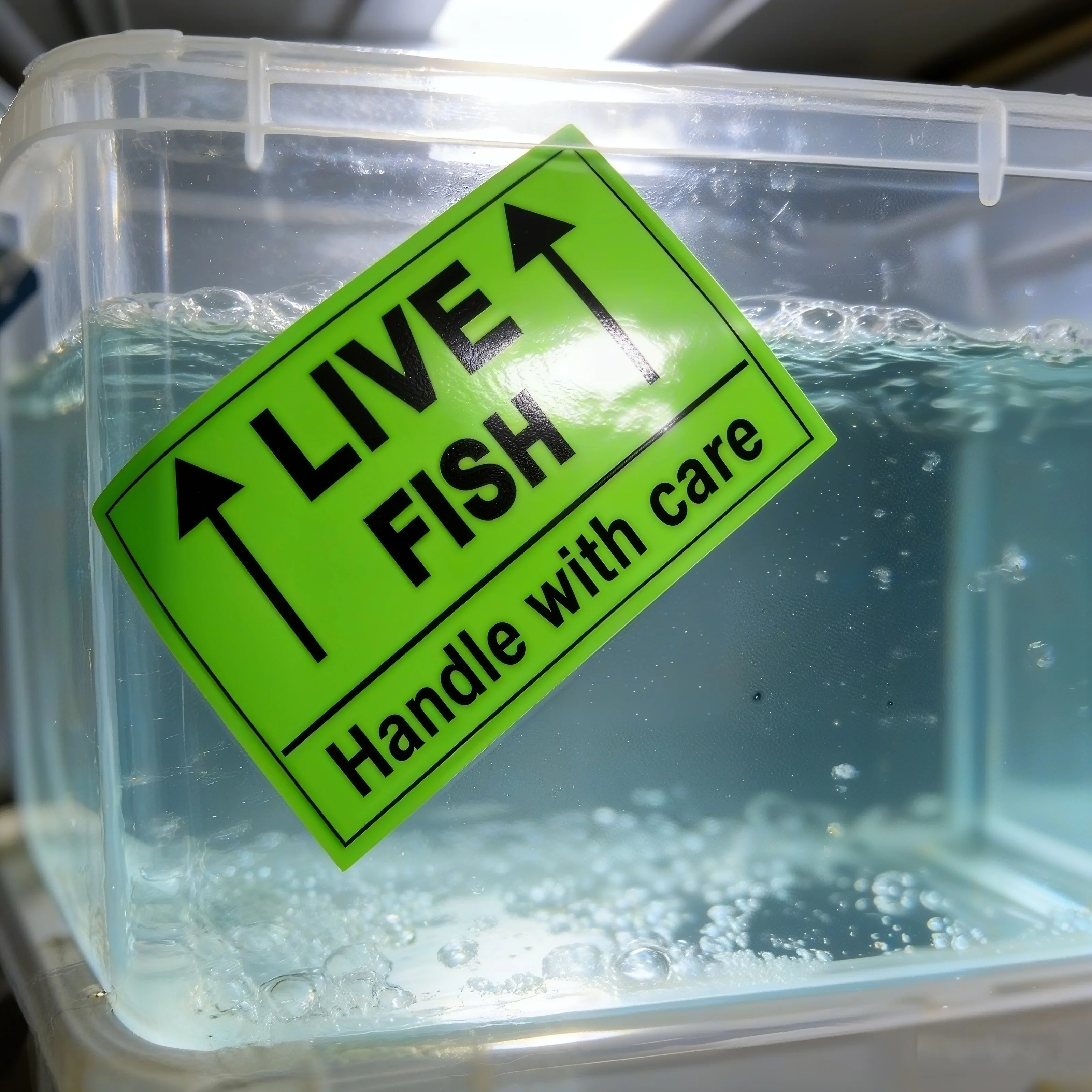 250 pcs Live Fish Stickers Shipping Labels, 2 X 3 Inch Fluorescent Green Please Handle with Care Stickers
