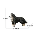 Bona Mountain Dog 2