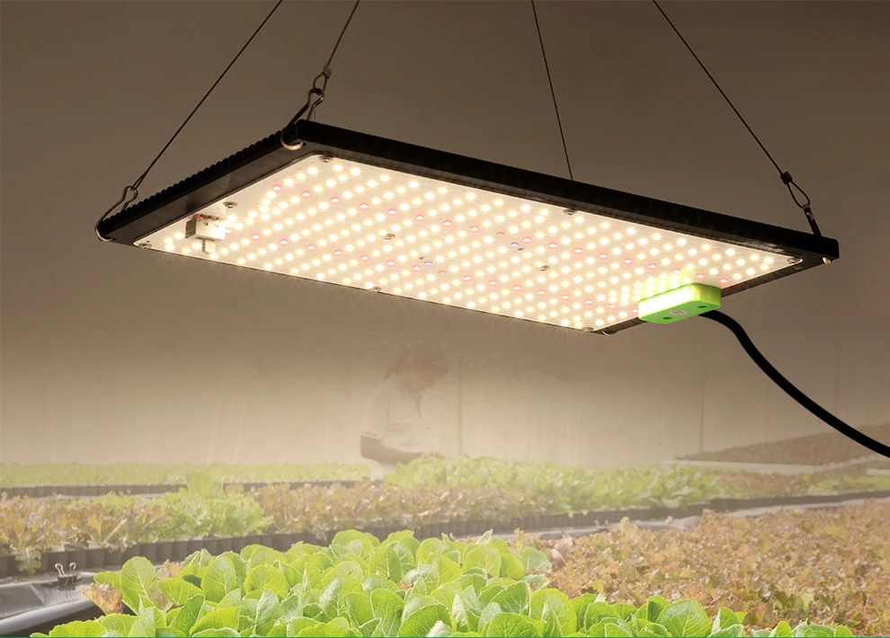 LED Grow Light 120W 240W LM301H Full Spectrum Hydroponic Growing Lamp for Plant Growth Lighting Veg Flowers Greenhouse 1