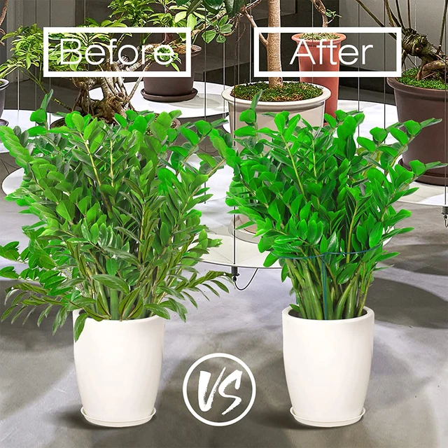 10 Pack Plant Stakes Fémkert Peona Támogató Növényi Tartó Gyűrű Paradicsom Rózsavirágok Szőlő Beltéri Növények - Image 3