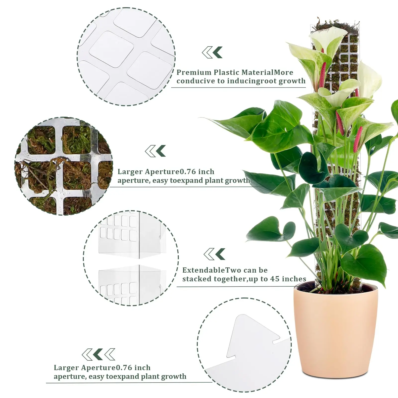 ミ*ミ様 MOSS STICK U5 154cm Amazon.com : Sukh Moss Totem Pole - Moss Pole for Plants