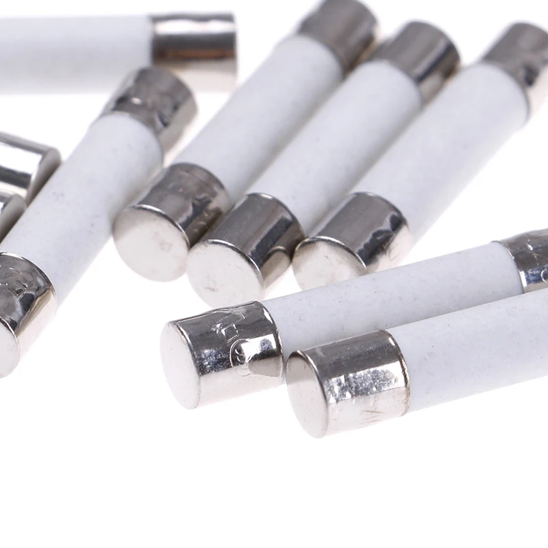 10 Pcs Ceramic Fuse Microwave Electric 20A 250V Home Supplies DIY 6x30mm