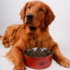 A pet dog bowl in the shape of a cartoon footprint, made of thickened stainless steel, suitable for indoor and outdoor use 5