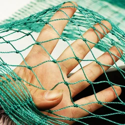Durable Wildlife Protection Garden Netting - Heavy Duty Mesh for Bird, Deer, and Pet Defense (2mx5m)