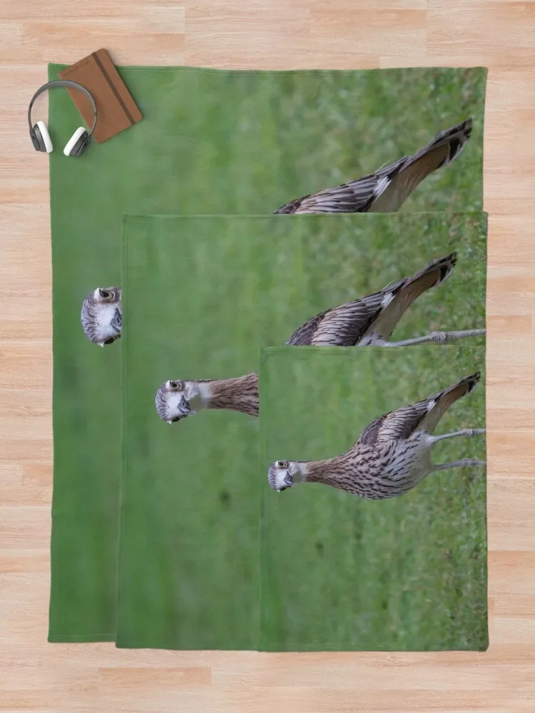 ���� �÷� ������ ���, �ε巯�� �÷��� ���� ����, ���Ÿ� ������ ���