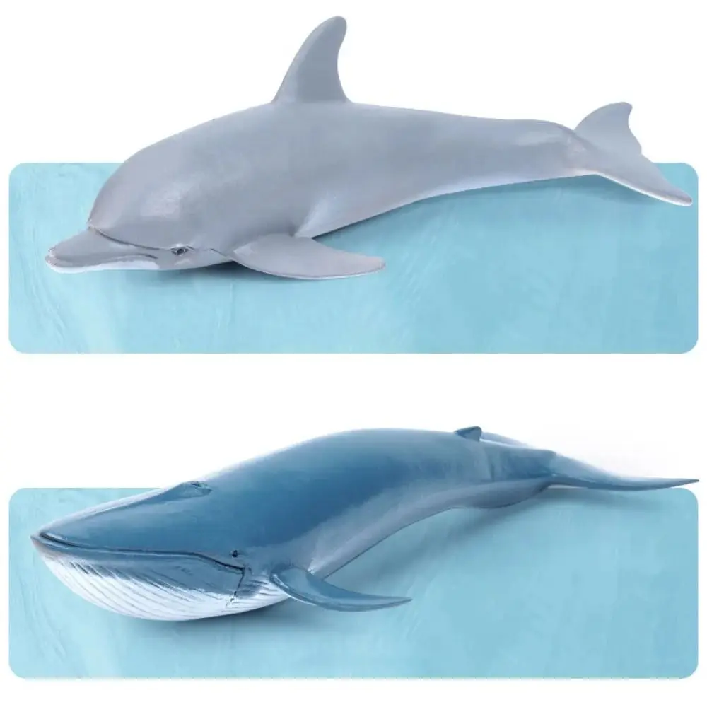 Ocean Adventure Marine Life Figurine Set - Educational Sea Animal Toys